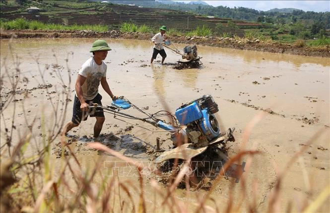 Người dân đưa máy móc vào làm đất.