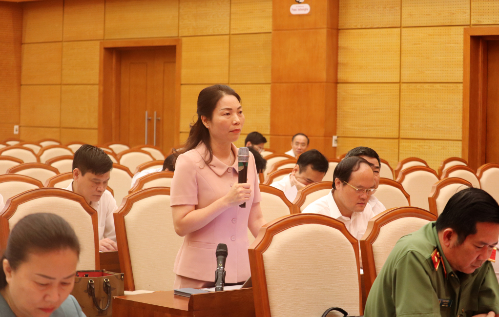 Đồng chí Nguyễn Thị Thúy, Giám đốc Sở Giáo dục và Đào tạo phát biểu thảo luận tại tổ.