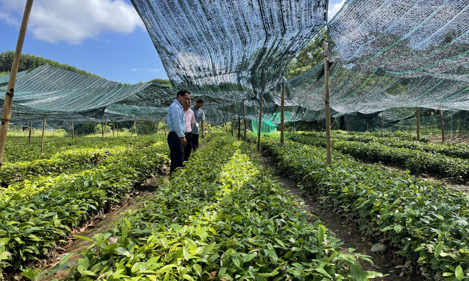 Lan tỏa phong trào nông dân sản xuất, kinh doanh giỏi