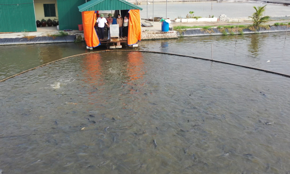 Tín hiệu tích cực từ thủy sản