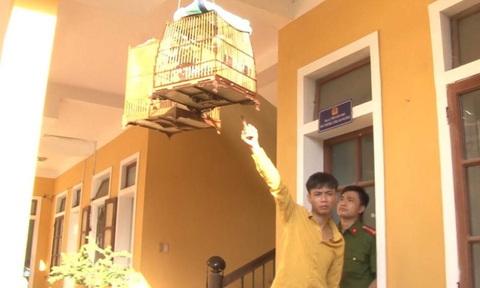 Có 7 tiền án, tiền sự vẫn đi trộm… chim cảnh
