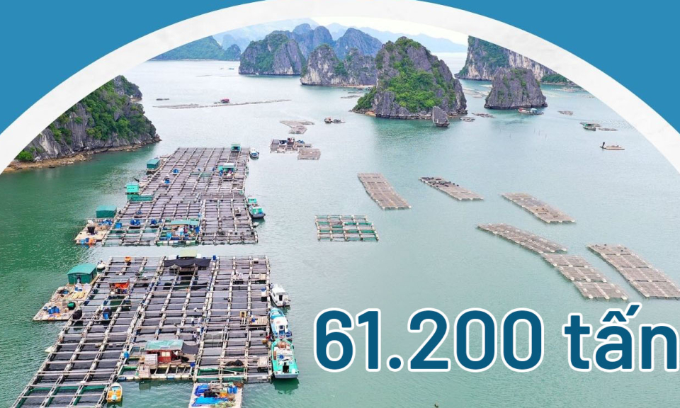 61.200 tấn - là tổng sản lượng thủy sản toàn tỉnh Quảng Ninh 5 tháng đầu năm 2023