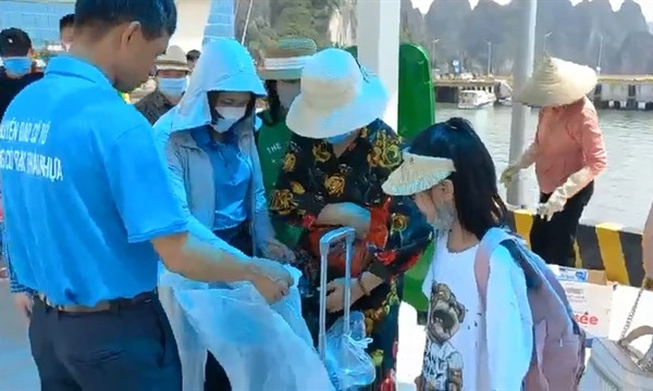Tourists advised not to take plastic bags to Cô Tô Island