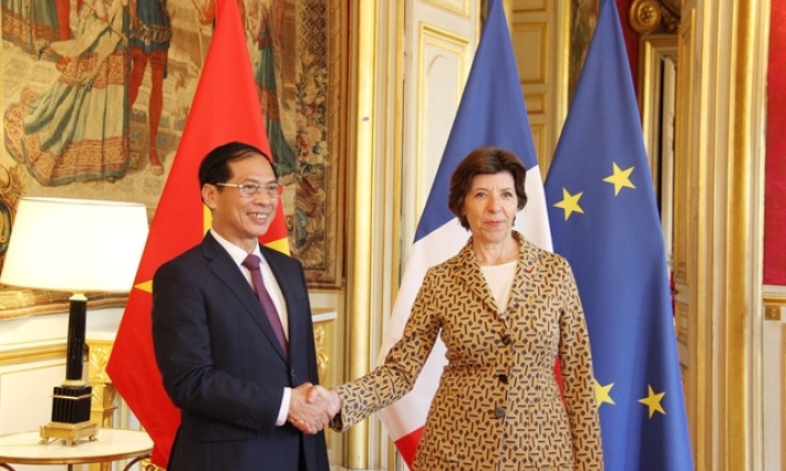 Việt Nam, France hope to elevate ties to greater height