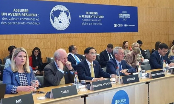 Vietnam makes suggestions at OECD Ministerial Council Meeting 2023