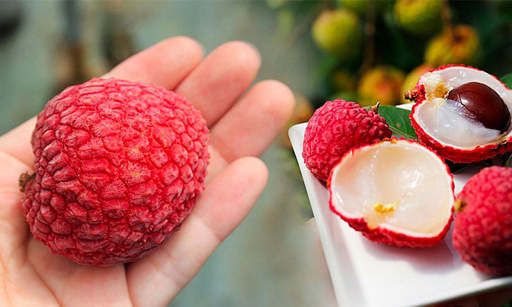 Vì sao vải thiều tốt cho sức khỏe nhưng không nên ăn quá 10 quả/lần?