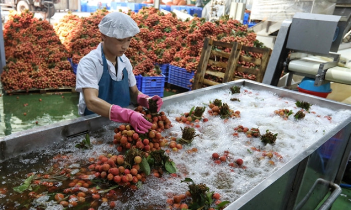 Việt Nam explores northern irradiation centre to boost fruit exports