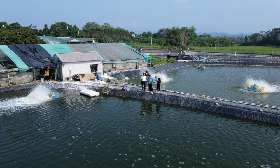 Hải Hà: Thay đổi tư duy phát triển kinh tế của người dân
