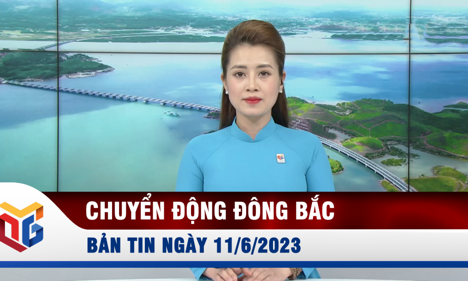 Chuyển động Đông Bắc ngày 11/6/2023