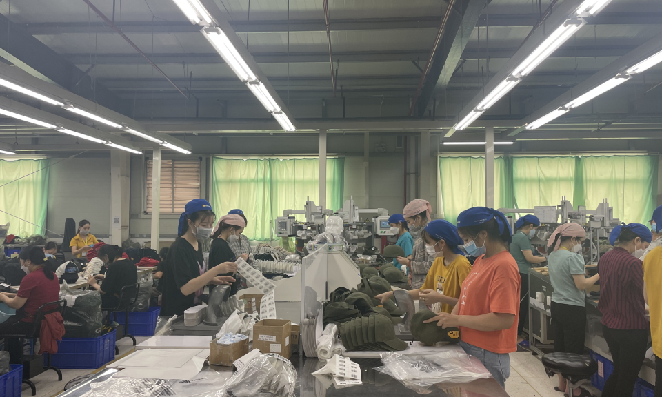 Bảo đảm mục tiêu tạo việc làm tăng thêm cho ít nhất 20.000 lao động