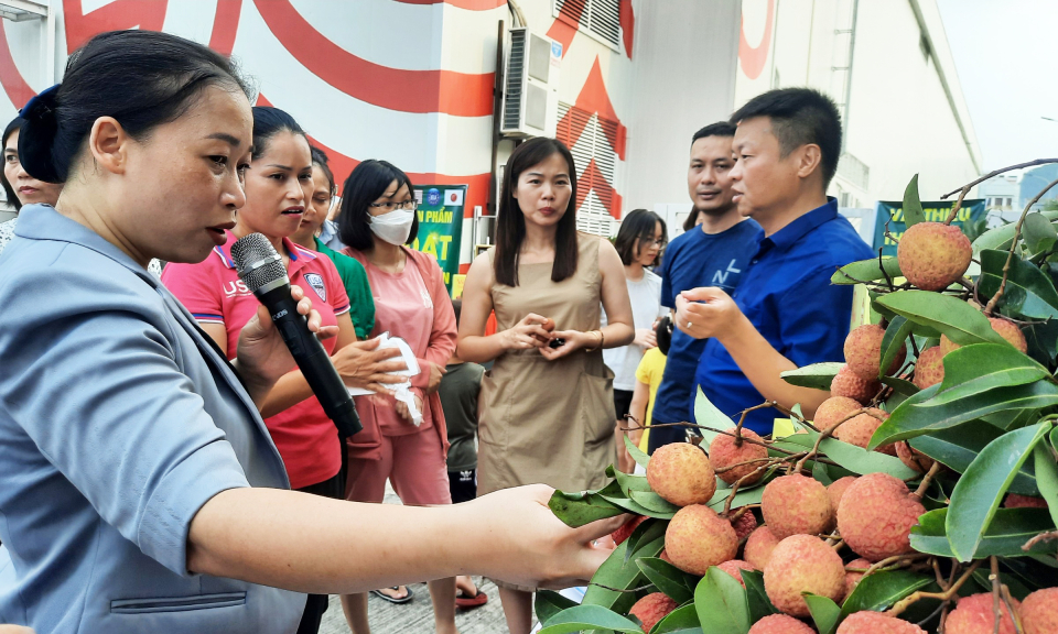 Trưng bày, giới thiệu và bán sản phẩm vải Thanh Hà tại Hạ Long 