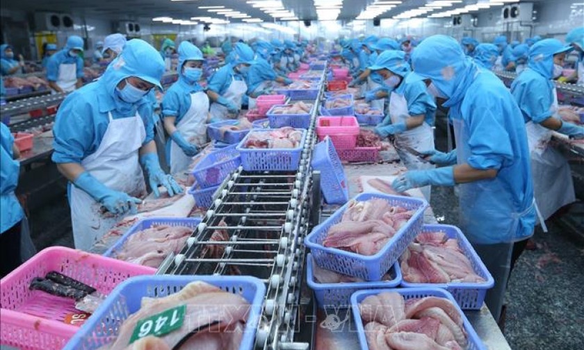 Doanh nghiệp thủy sản đối mặt với nhiều khó khăn