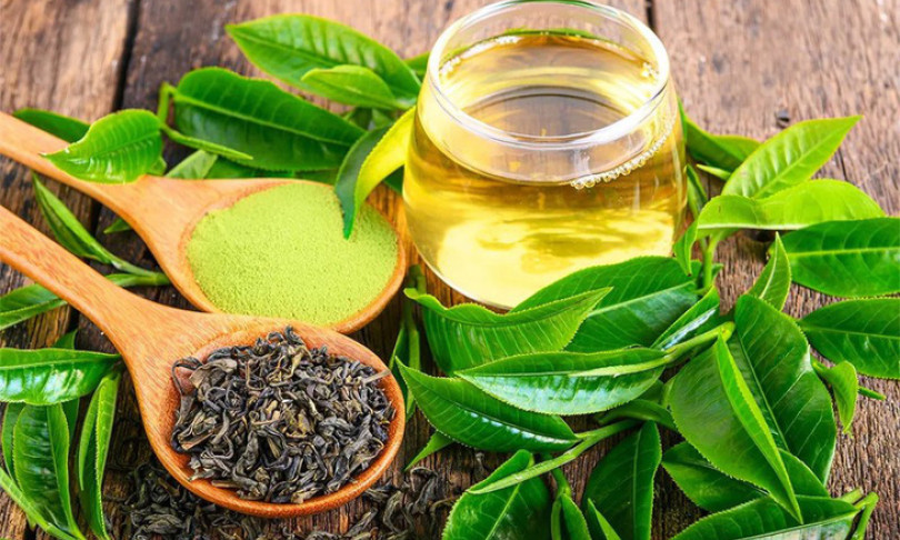 Vì sao nước pha trà xanh nên có nhiệt độ dưới 100 độ C?