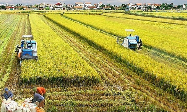 Điều kiện hỗ trợ việc làm khi thu hồi đất nông nghiệp