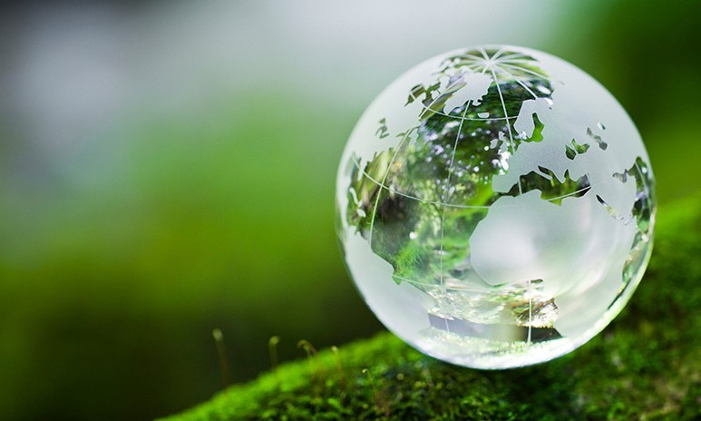 Responsibility to protect the green planet