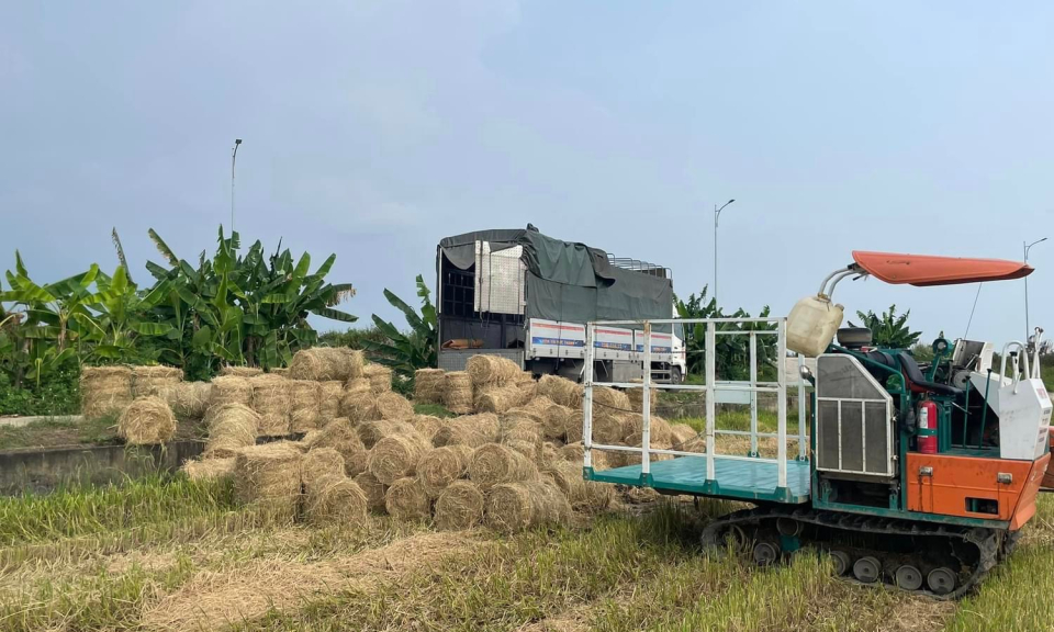 Ứng dụng công nghệ cao trong sản xuất nông nghiệp