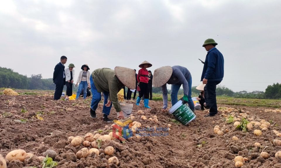 Tiên Yên: Cụ thể hóa mục tiêu nghị quyết đại hội đảng các cấp