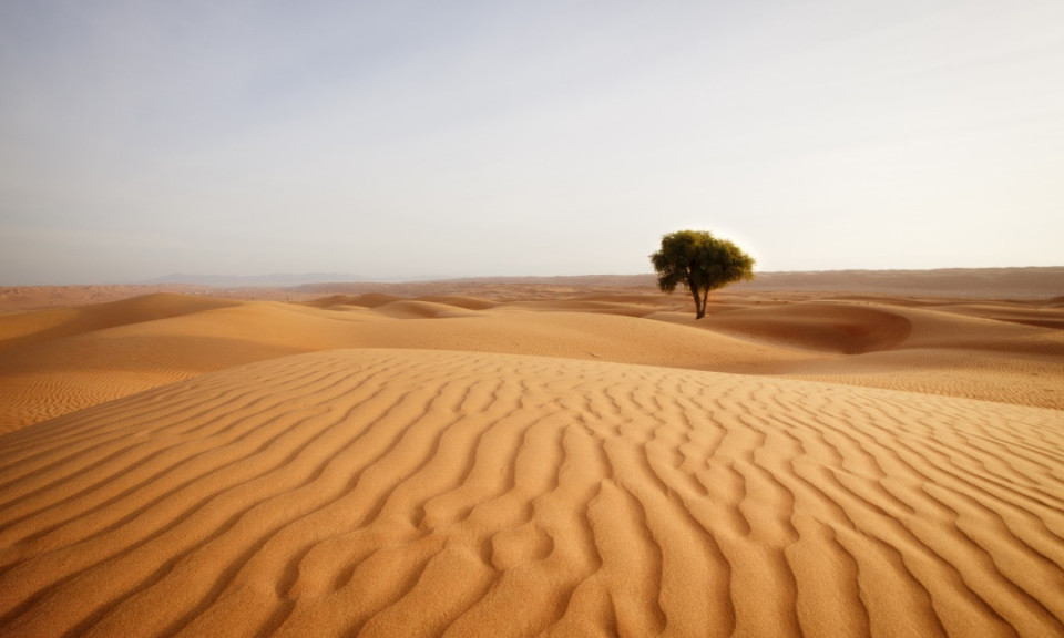 Những sự thật thú vị về sa mạc Sahara