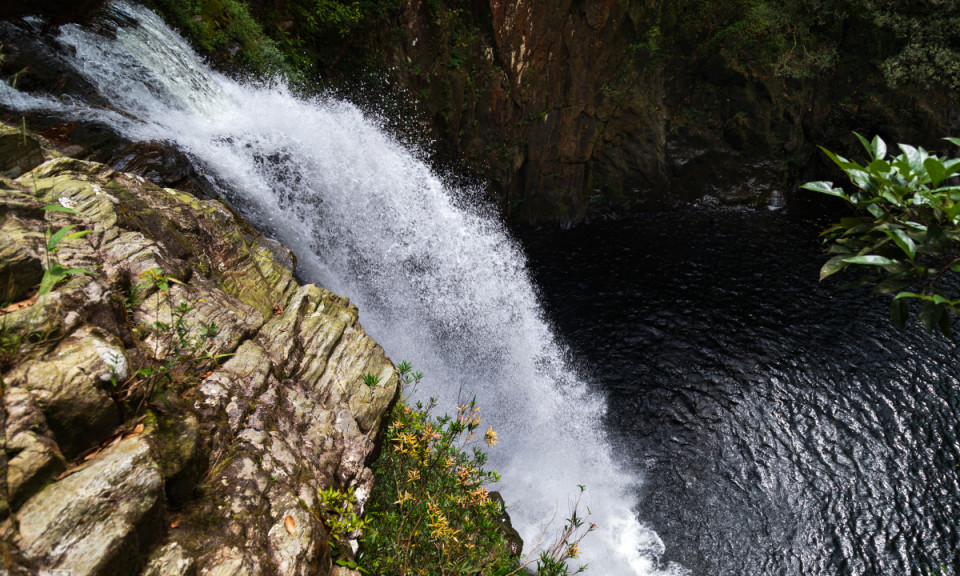 Immersing in nature's grandeur: Dakrong Nature Reserve