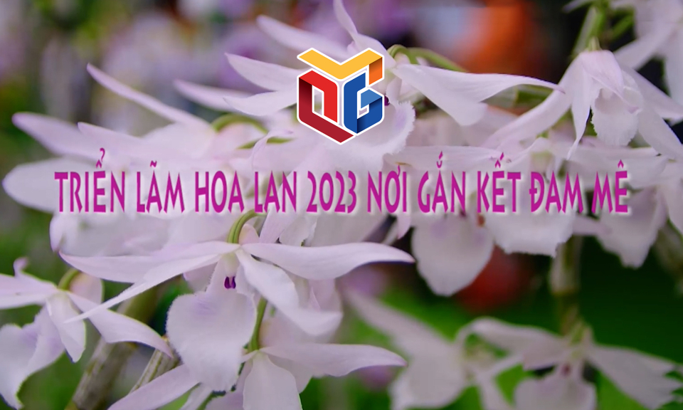 Triển lãm hoa lan 2023 – nơi gắn kết đam mê