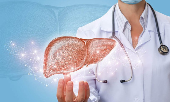 Tác hại khi gan nhiễm mỡ và cách hạn chế