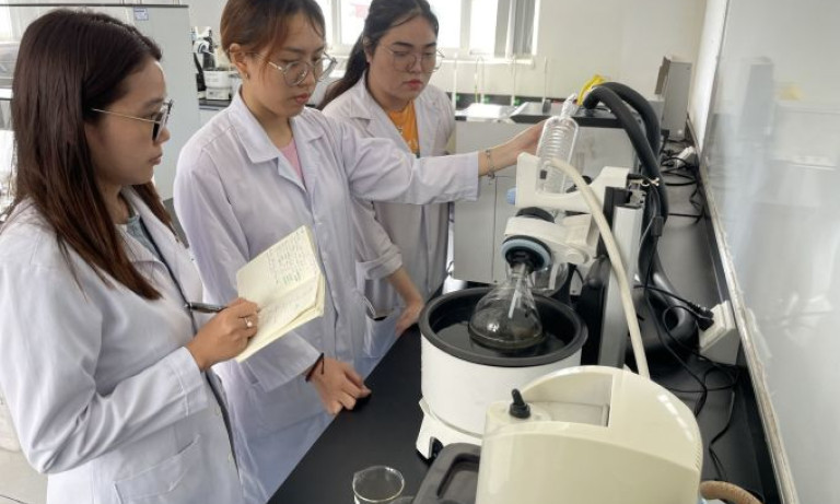Làm muối ăn từ mai mực