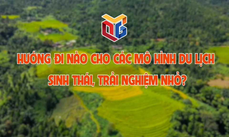 Hướng đi nào cho các mô hình du lịch sinh thái, trải nghiệm nhỏ?