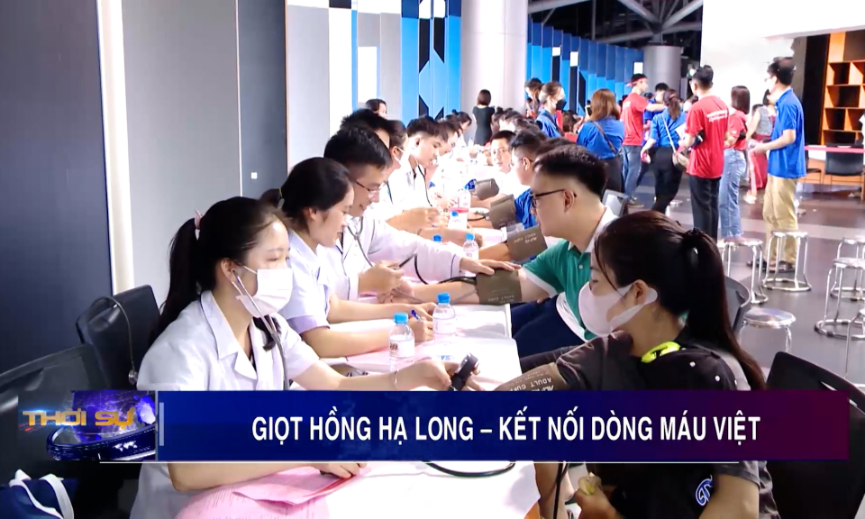 Giọt hồng Hạ Long – Kết nối dòng máu Việt