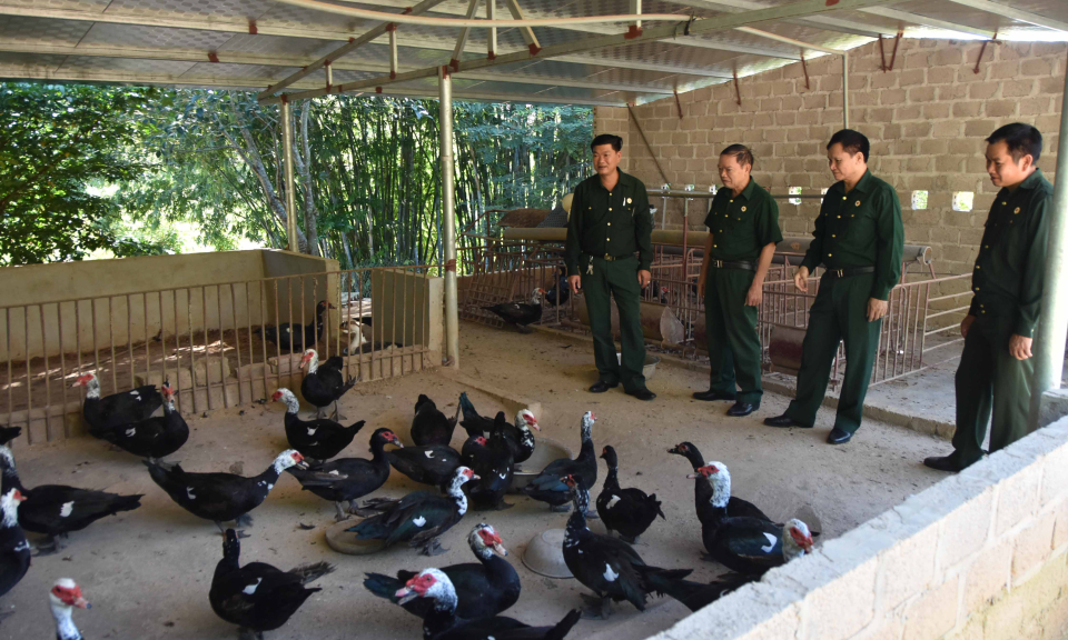CCB Quảng Ninh giúp nhau phát triển kinh tế