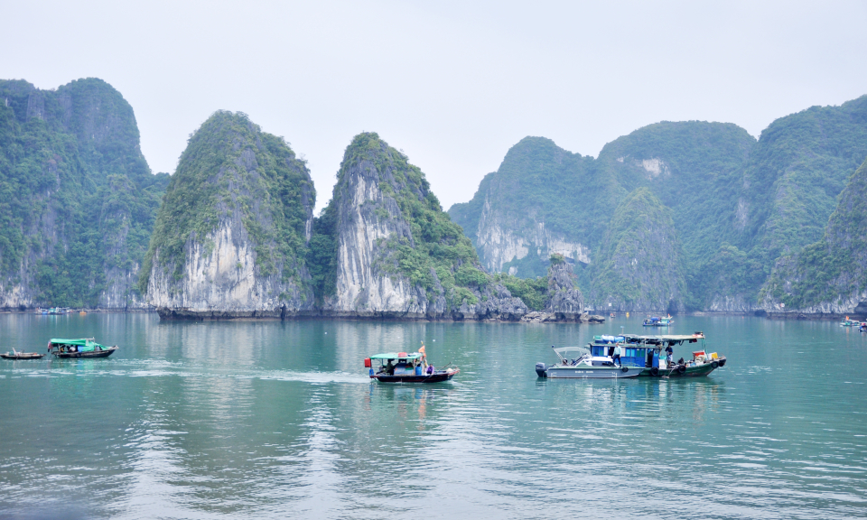 “Tốc độ phát triển kinh tế nhanh vừa là lợi thế vừa là áp lực cho đa dạng sinh học”