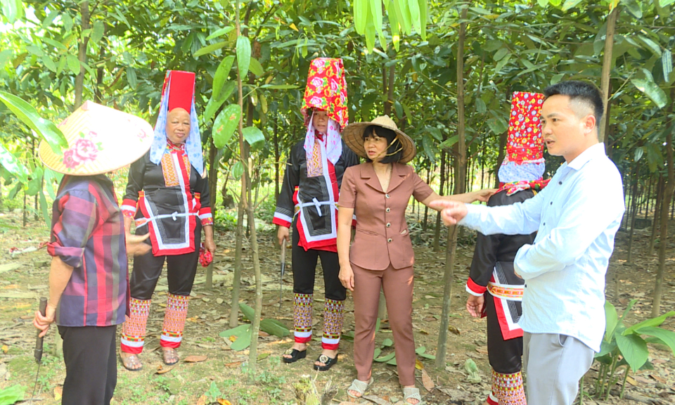 Hải Hà động lực mới từ hành động