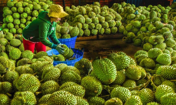 6-month agriculture exports near last year’s total