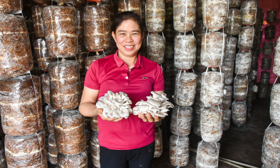 Hội Nông dân huyện Đầm Hà: Đồng hành cùng hội viên