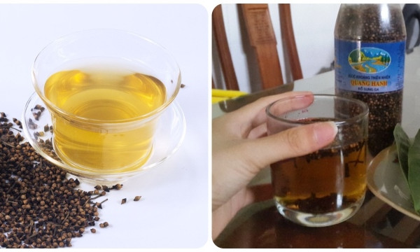 Uống nước vối mỗi ngày có tốt không?