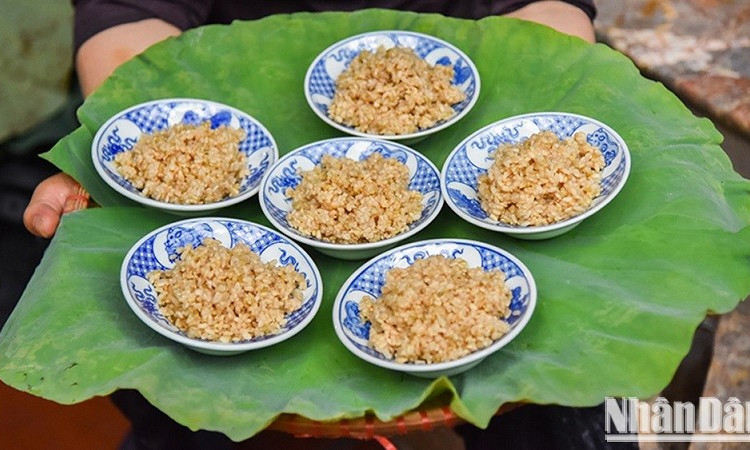 Cơm rượu nếp có tốt cho sức khỏe?