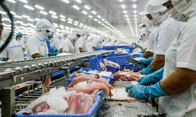 Nương nhờ xuất khẩu, giá cá tra sẽ phục hồi trong nửa cuối năm
