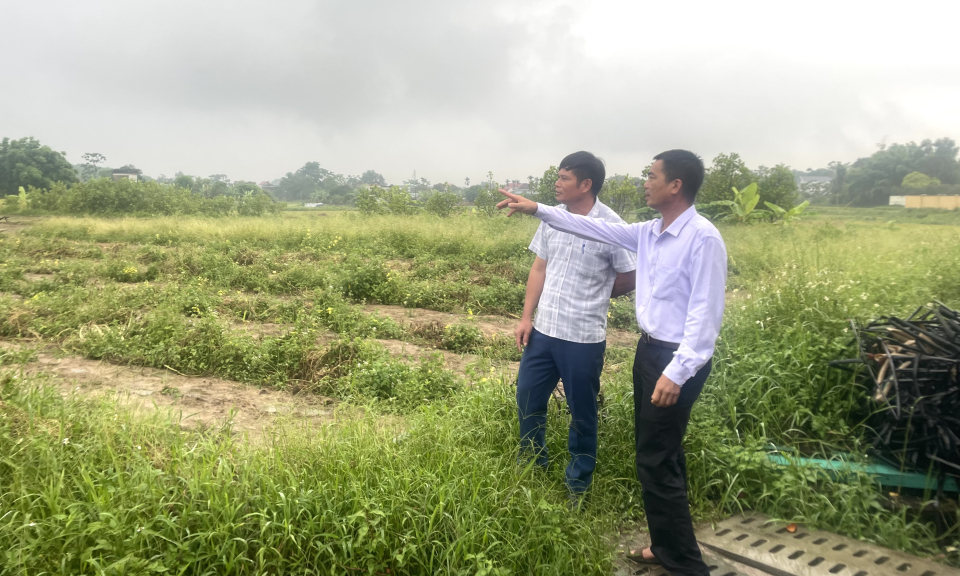 Đầm Hà: Cần đẩy nhanh tiến độ cấp đổi, cấp mới giấy CNQSDĐ