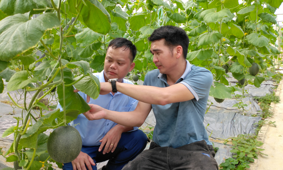 Hoàn thiện hạ tầng phục vụ sản xuất nông nghiệp