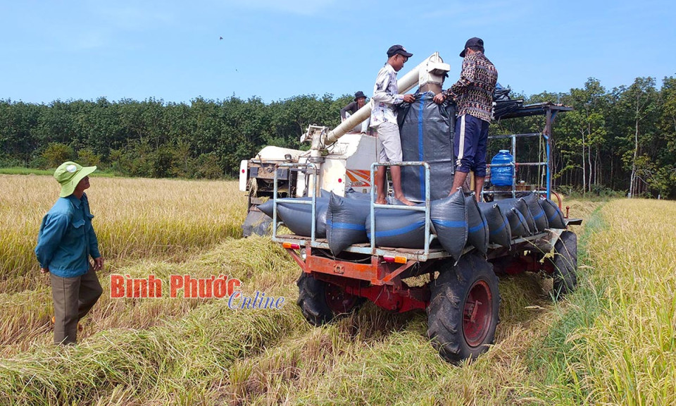 Bình yên một dải biên cương