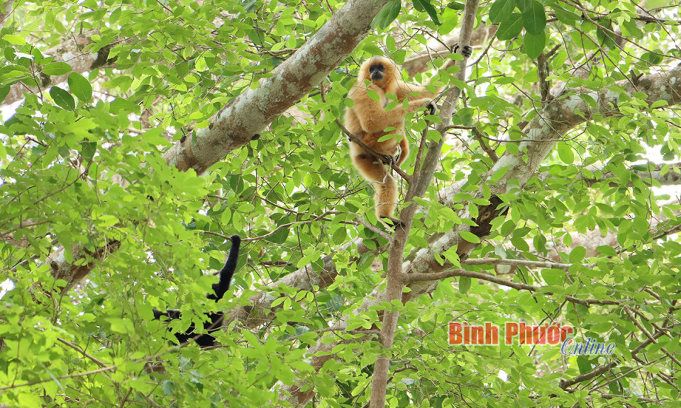 Bài 2: Trách nhiệm không của riêng ai 