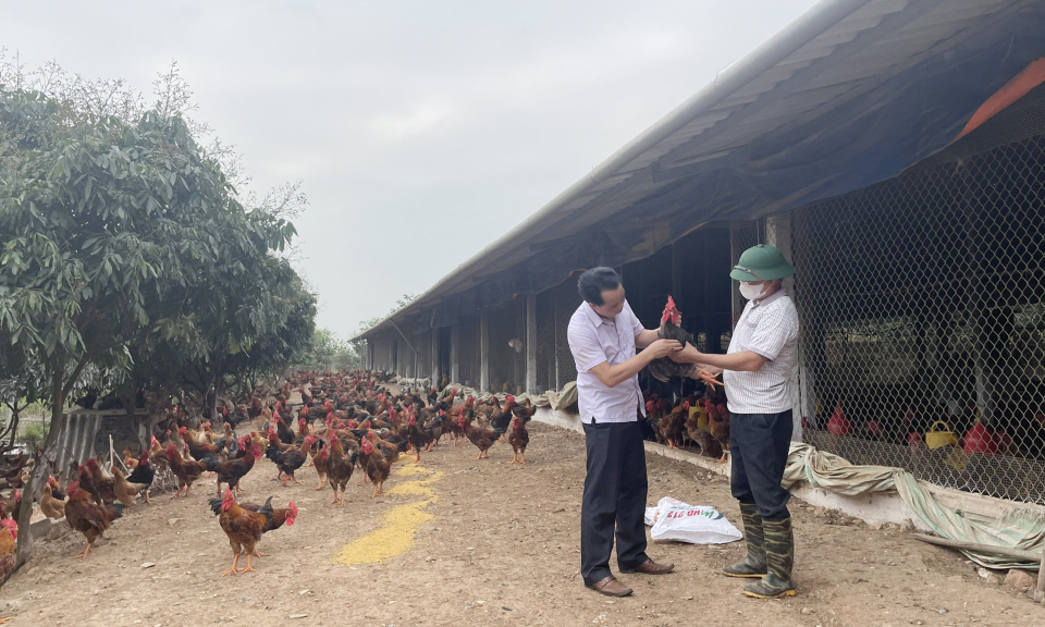 Khởi đầu cho giai đoạn mới 
