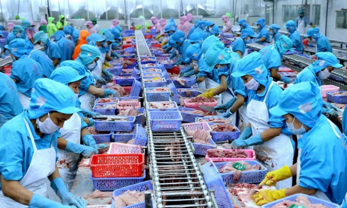 Việt Nam xuất khẩu thủy sản vào Mỹ lớn nhất