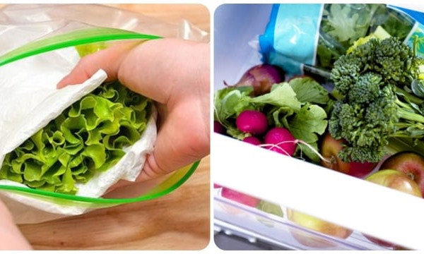 Rau củ bảo quản trong tủ lạnh được bao lâu?