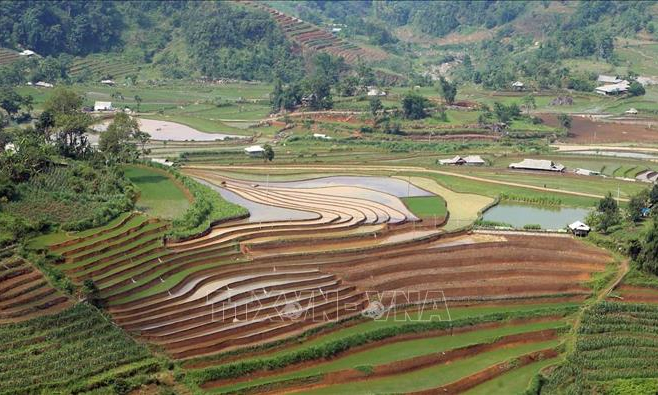 Mùa nước đổ trên những thửa ruộng bậc thang ở Lai Châu
