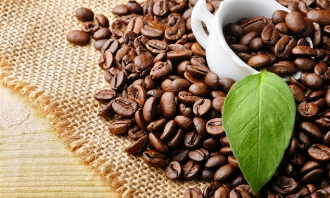 VN’s iced milk coffee ranked 2nd in world by TasteAtlas