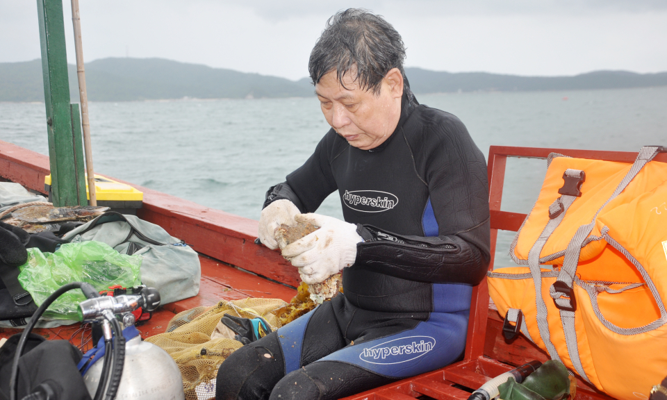“Rong biển góp phần làm sạch nước và giúp nuôi trồng thuỷ sản bền vững”