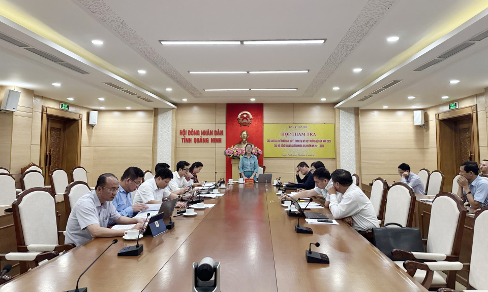 Thẩm tra các báo cáo, dự thảo nghị quyết thuộc lĩnh vực pháp chế 