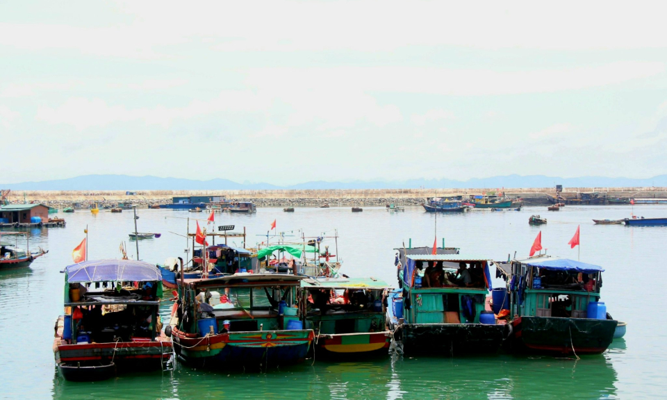 Cô Tô phát hiện, xử lý 5 tàu cá vi phạm