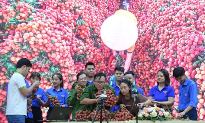 Bản tin vùng Đông Bắc ngày 29/6/2023