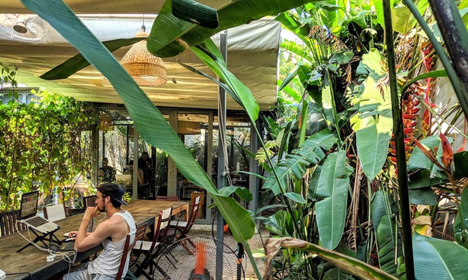 Việt Nam: Điểm đến lý tưởng để du lịch kết hợp làm việc từ xa